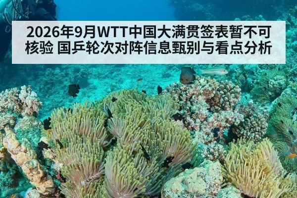 2026年9月WTT中国大满贯签表暂不可核验 国乒轮次对阵信息甄别与看点分析